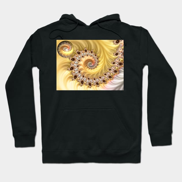 Spiral Satellite Hoodie by barrowda